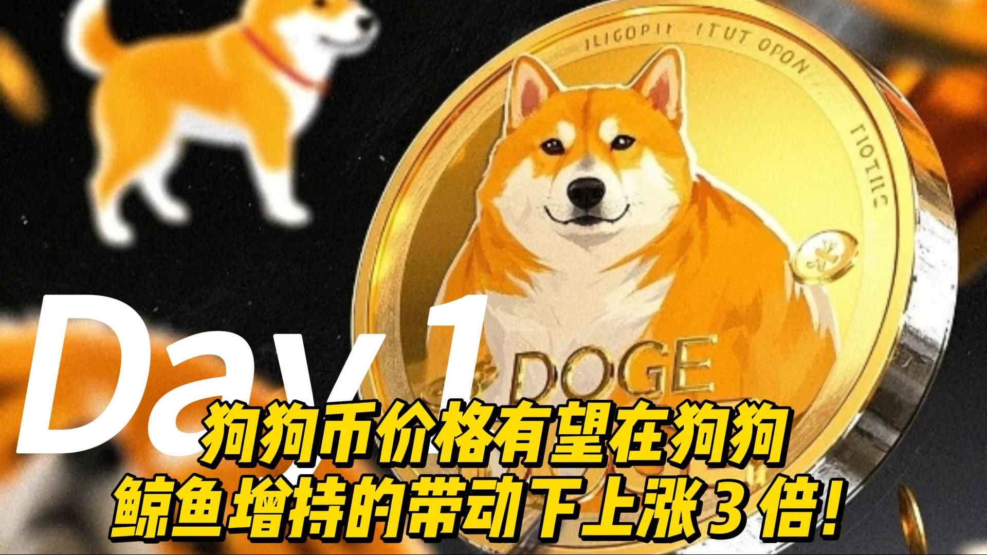 关于狗狗币空投即将开始，参与用户将获AVAX枚代币，市场关注的信息
